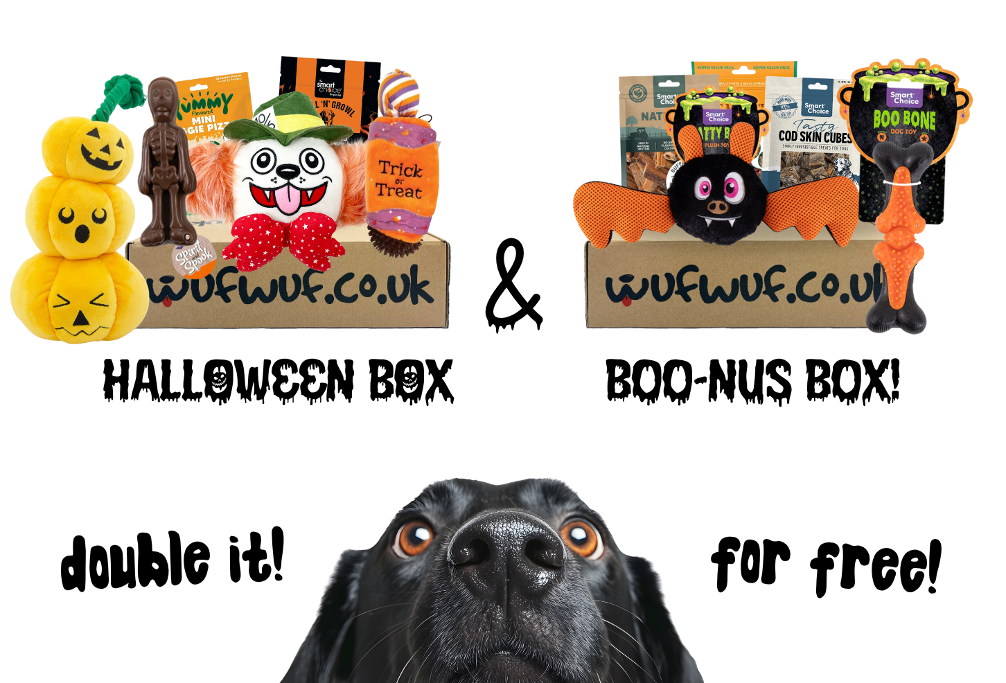 WufWuf - Your dog's monthly joy box.